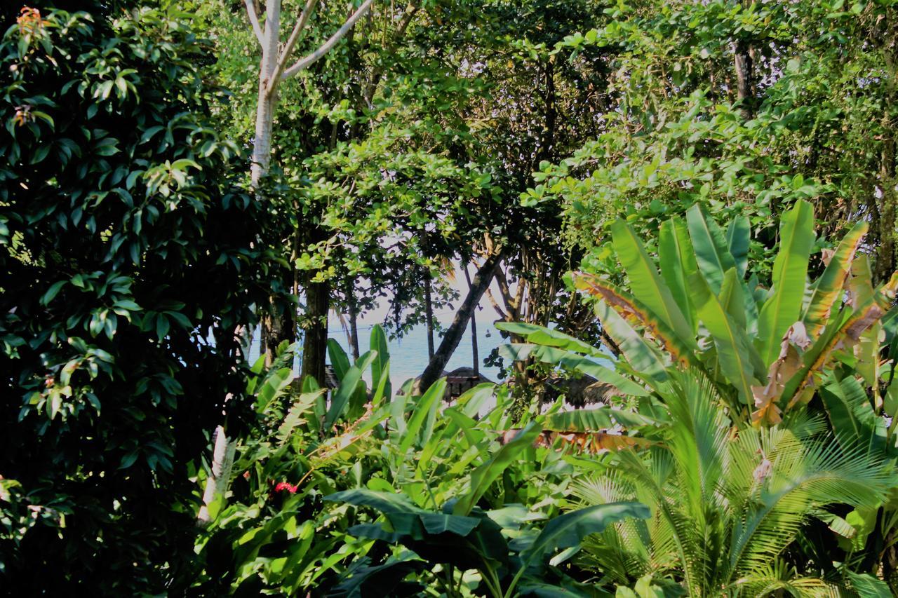 Casa Natural Puerto Viejo Hotel Puerto Viejo de Talamanca Exterior foto